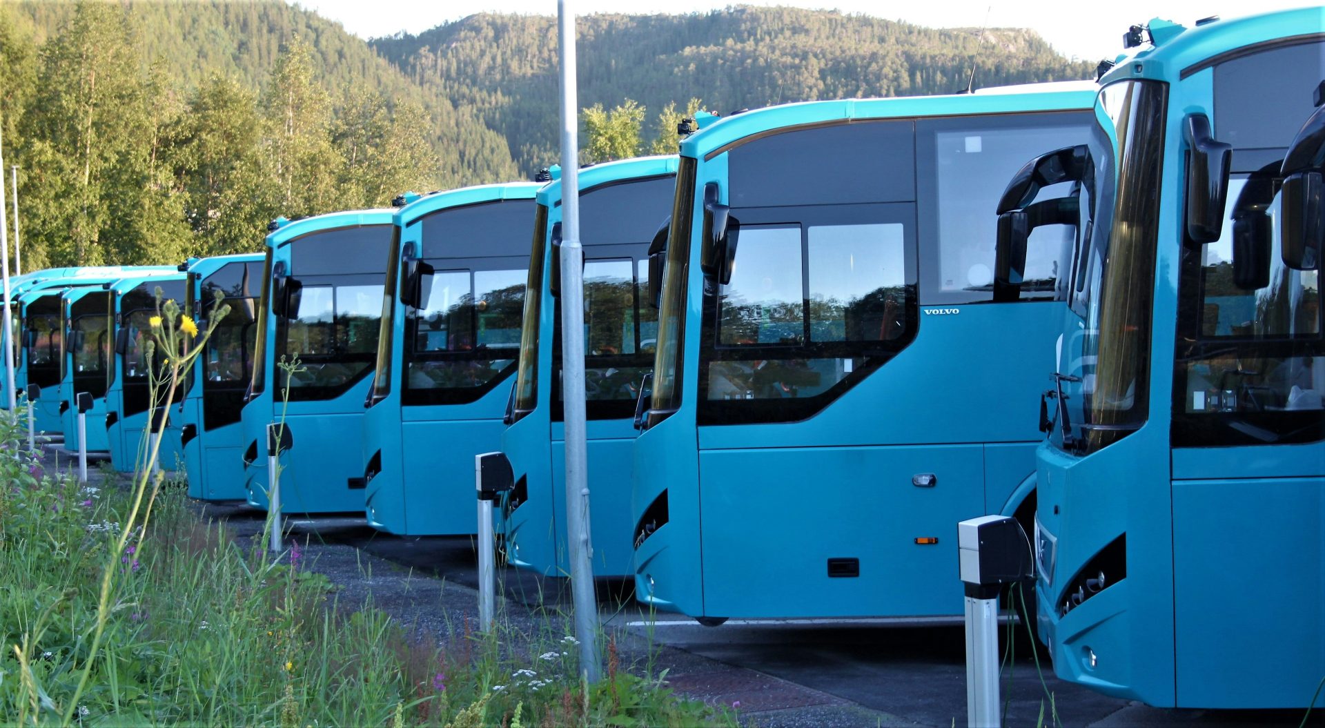 a row of blue buses